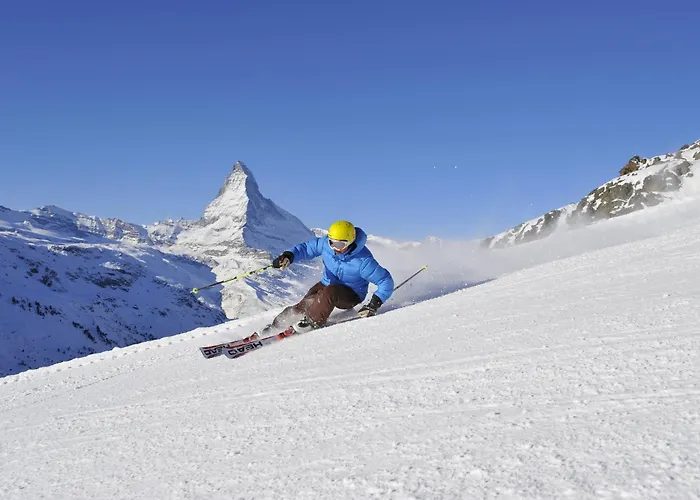 ガルニ テスタ グリジア