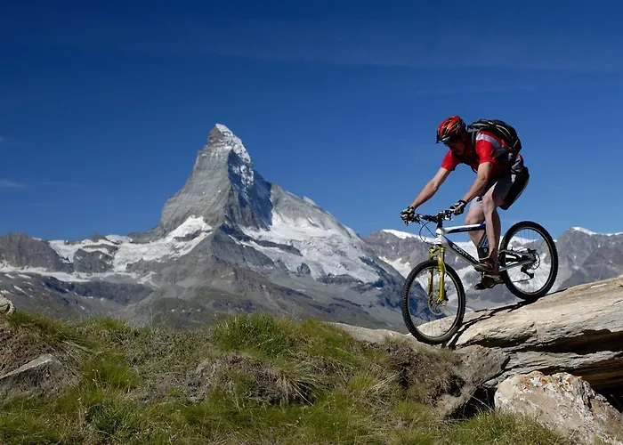 ガルニ テスタ グリジア 3*