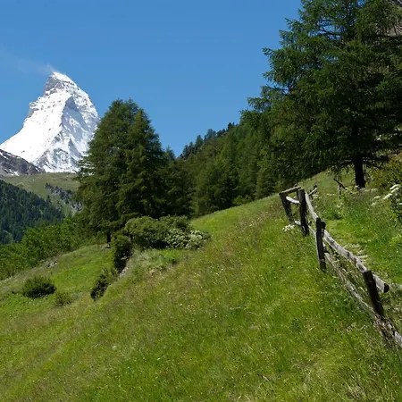 Garni Testa Grigia Hotel Zermatt